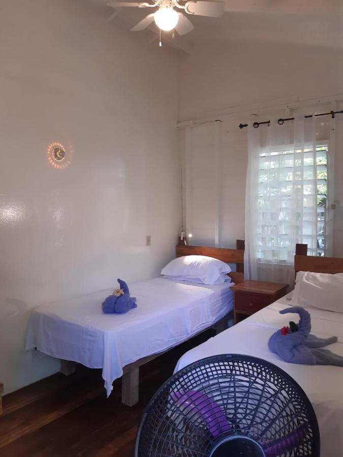 The Funky Dodo Backpackers Hostel Hopkins Exterior foto