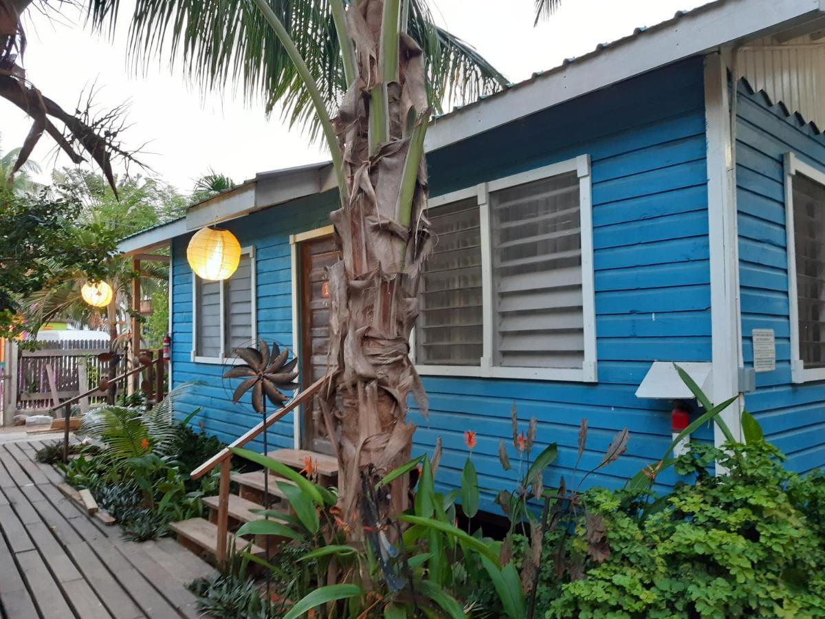 The Funky Dodo Backpackers Hostel Hopkins Exterior foto