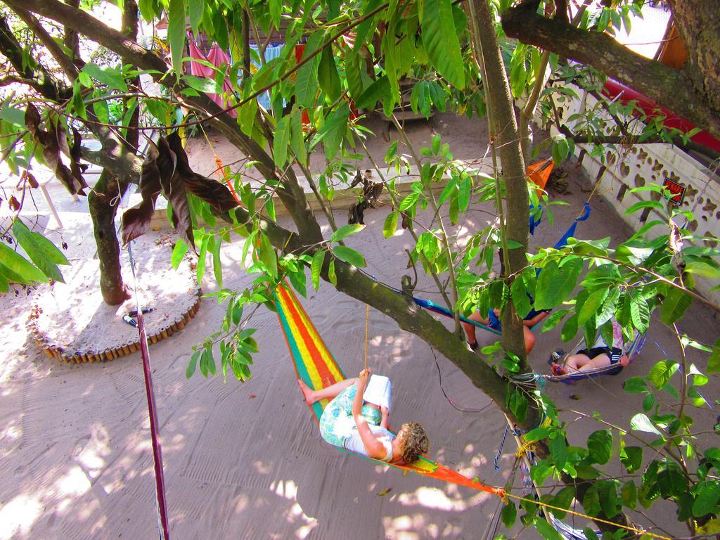 The Funky Dodo Backpackers Hostel Hopkins Exterior foto
