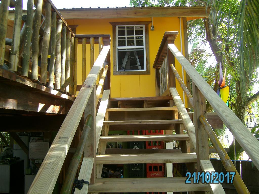 The Funky Dodo Backpackers Hostel Hopkins Exterior foto