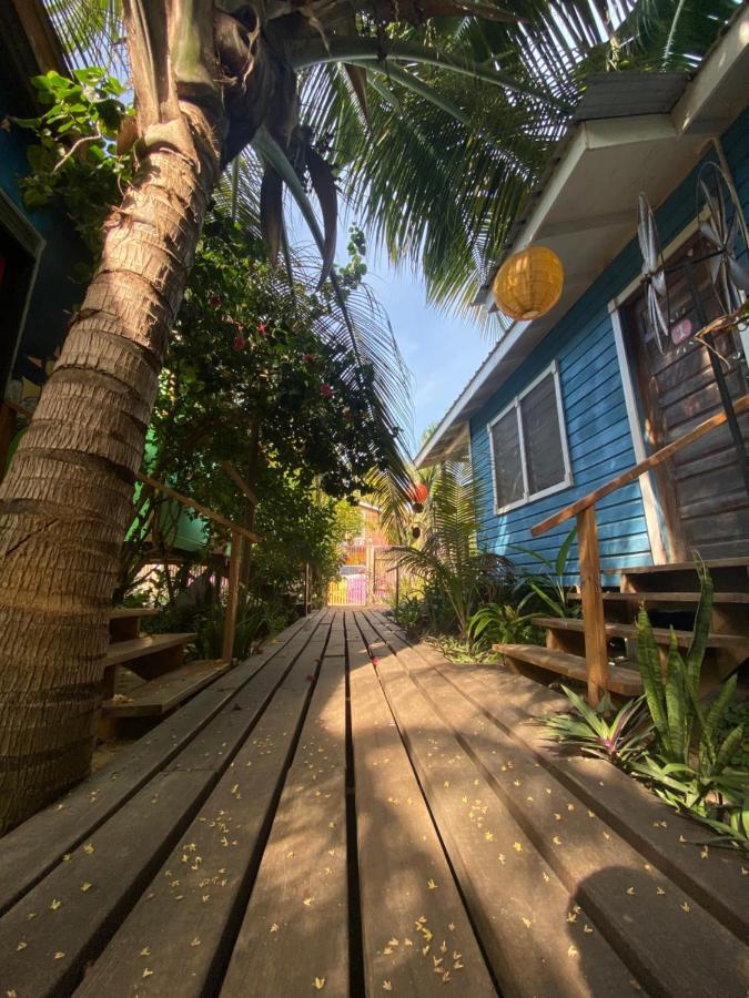 The Funky Dodo Backpackers Hostel Hopkins Exterior foto