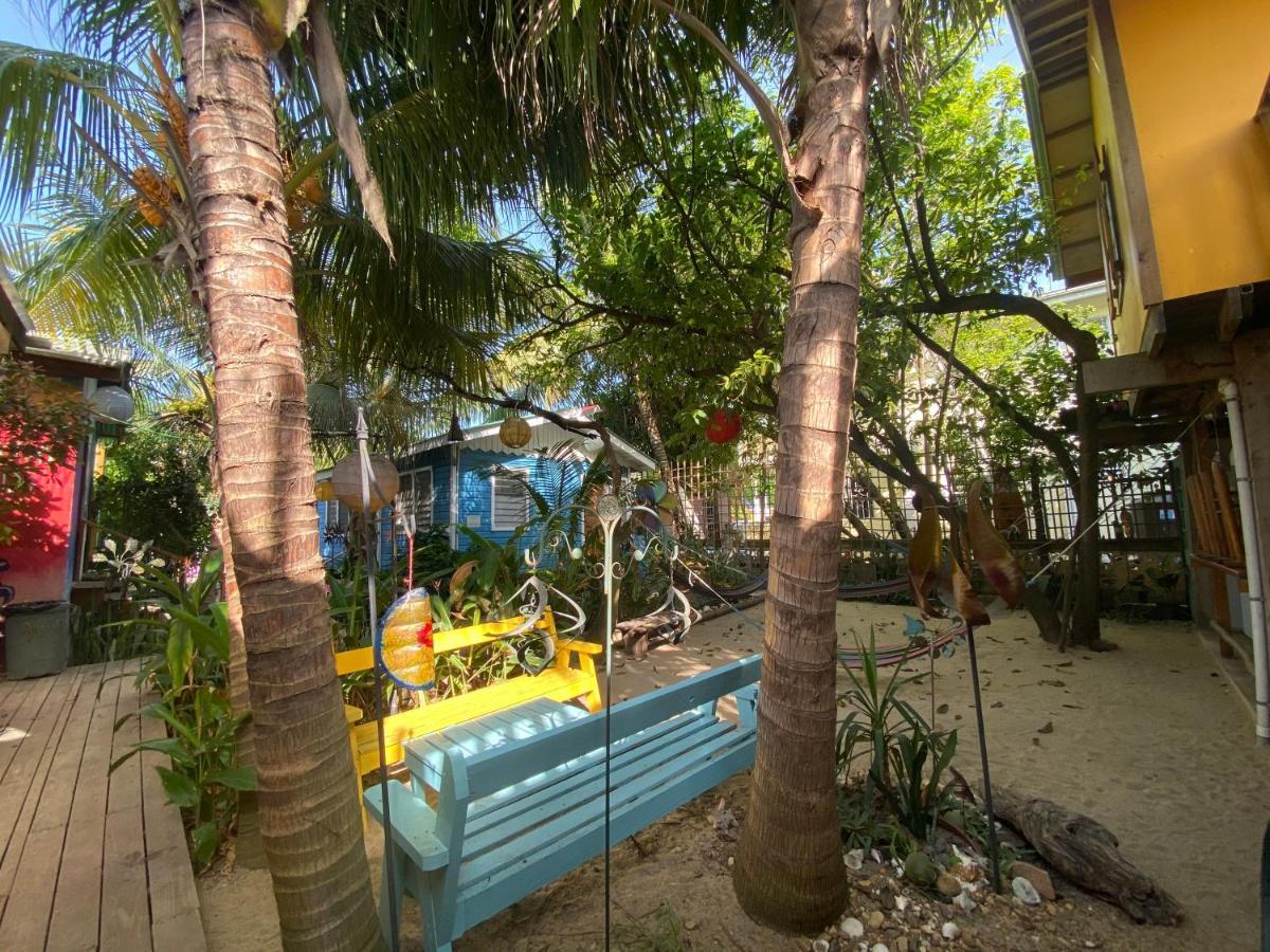 The Funky Dodo Backpackers Hostel Hopkins Exterior foto