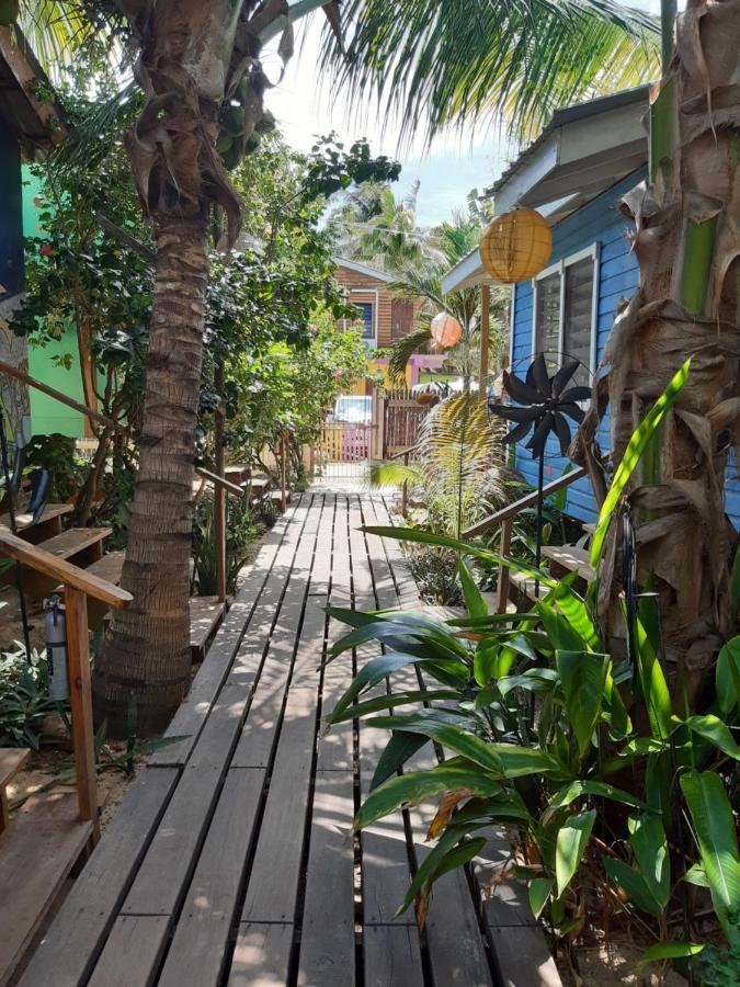 The Funky Dodo Backpackers Hostel Hopkins Exterior foto