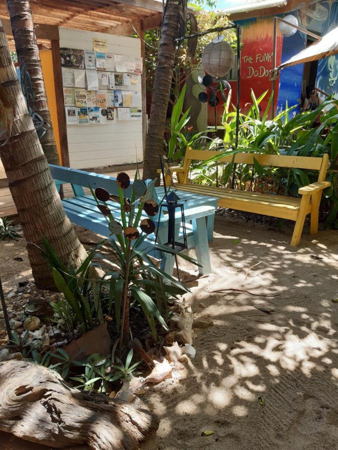 The Funky Dodo Backpackers Hostel Hopkins Exterior foto