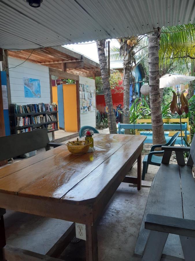 The Funky Dodo Backpackers Hostel Hopkins Exterior foto