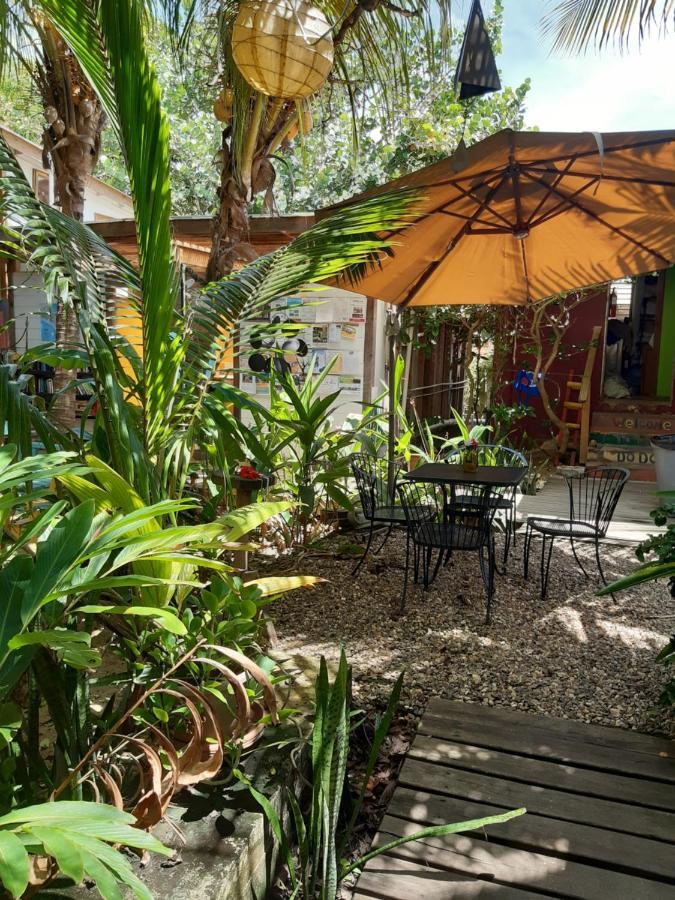 The Funky Dodo Backpackers Hostel Hopkins Exterior foto